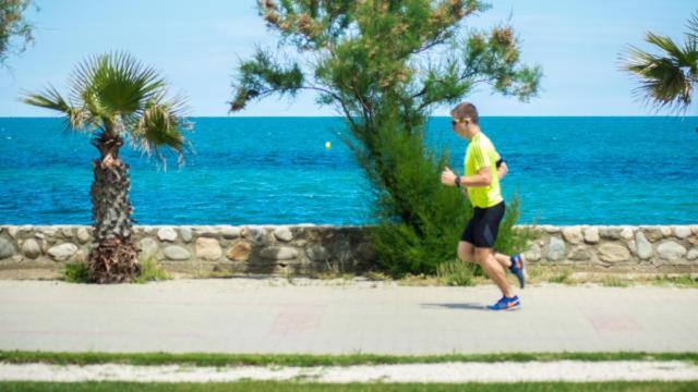 Un Petit Nid Les Pieds Dans L'Eau Lägenhet Argelès-sur-Mer Exteriör bild
